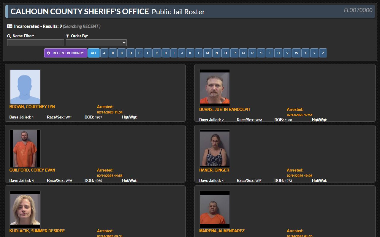 Calhoun County jail roster showing 24 hour booking entries with arrest details