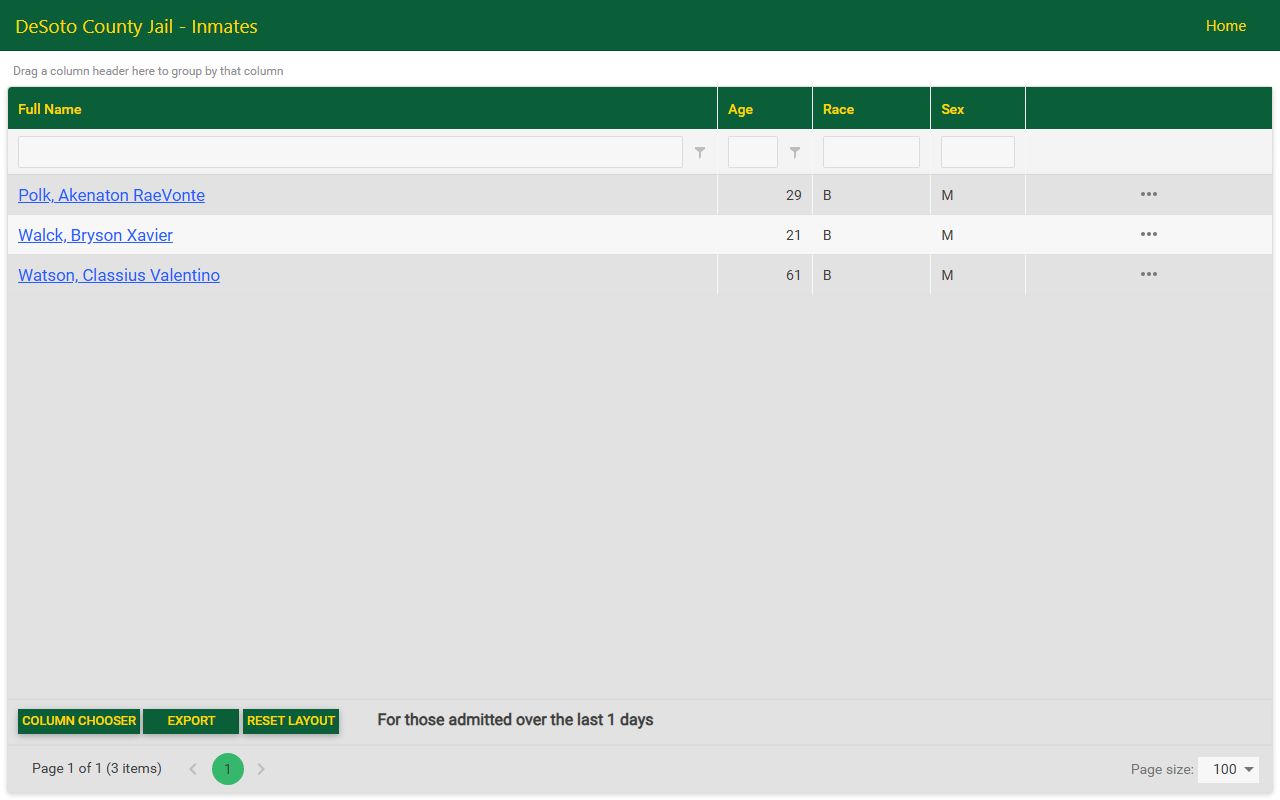 DeSoto County jail roster showing recent 24 hour booking entries